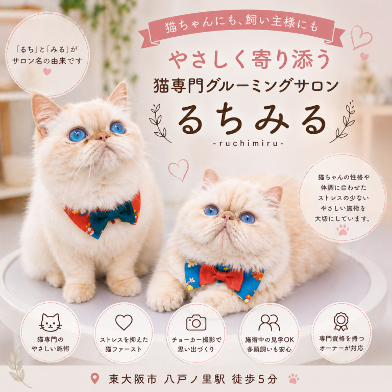 キャットサロン るちみる