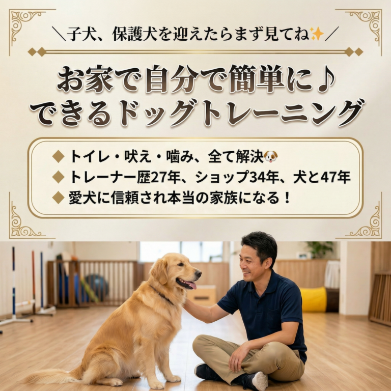 おうち犬のしつけの先生ヒロ
