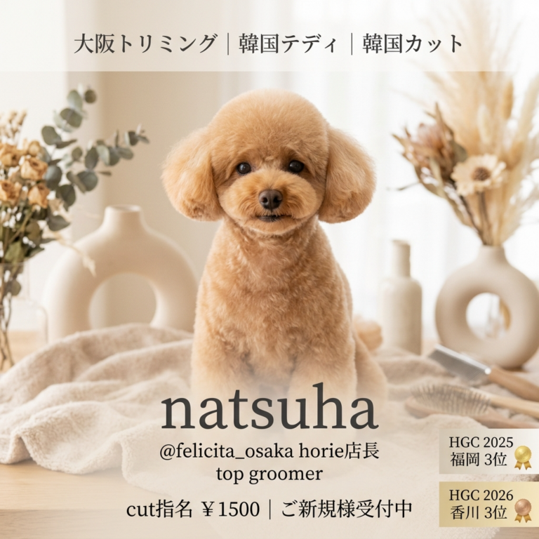 大阪のトリマー natsuha｜韓国テディ