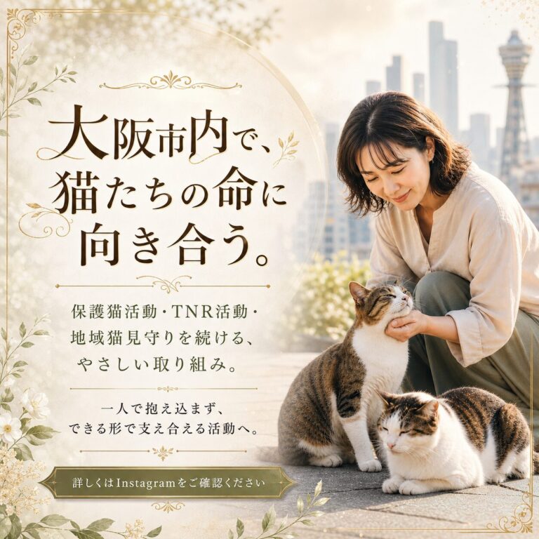 大阪市で一人ぼっちで保護猫活動・TNR活動中&地域猫見守り中→助けてください
