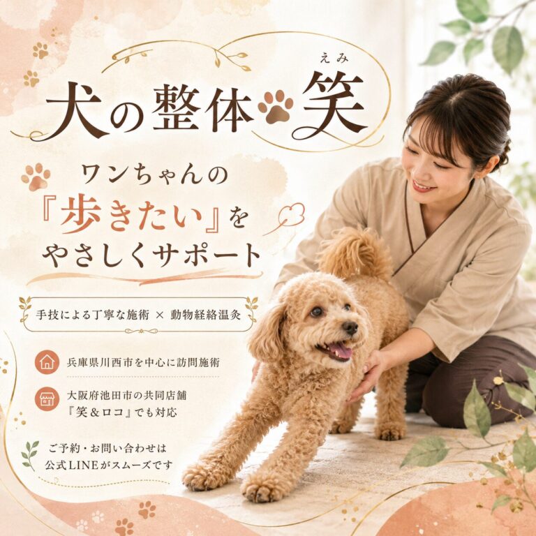 犬の整体🐾笑