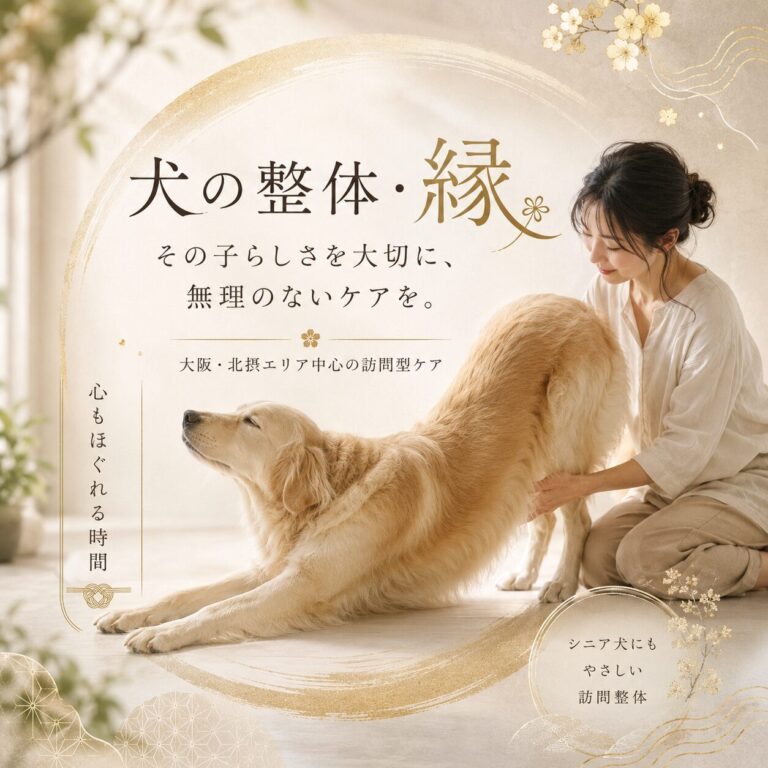 犬の整体・縁