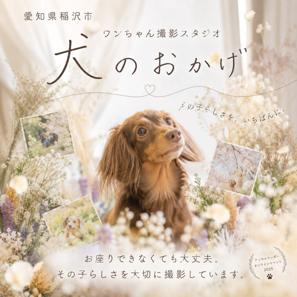 「その子らしさ」を大切に残す、犬のおかげのワンちゃん撮影