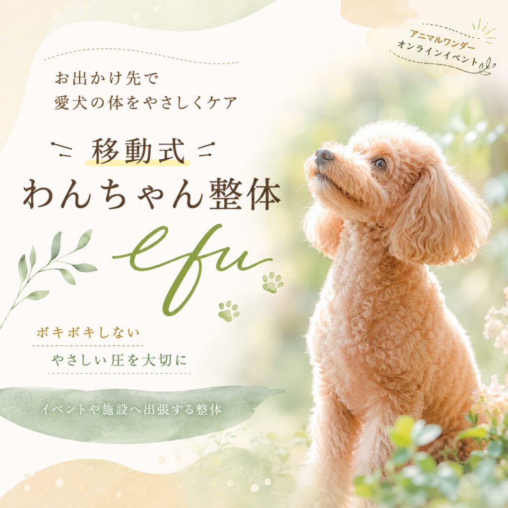 お出かけ先で愛犬の体をやさしくケア|移動式 わんちゃん整体efu
