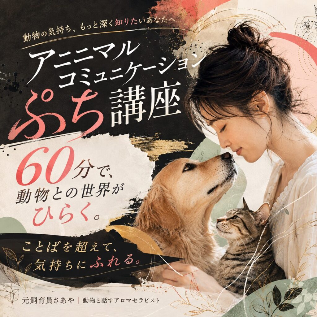 元飼育員さあや 動物と話すアロマセラピスト